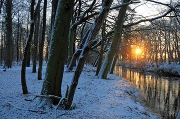 Winterlicher Sonnenaufgang über der Hunte im Barneführer Holz