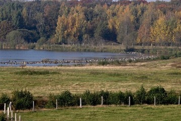 Das Reservebecken im Hochwasserrückhaltebecken Alfhausen-Rieste