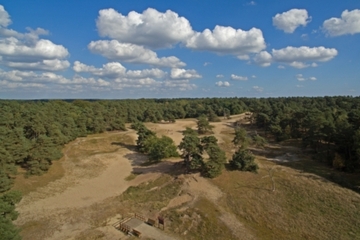Foto aus dem Naturschutzgebiet "Dünengebiet und Halsetal bei Verden-Neumühlen"