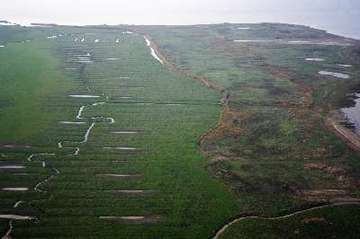 Naturschutzgebiet "Vogelschutzgebiet Hullen" | Nds. Landesbetrieb für