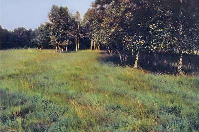 Nordenholzer Moor