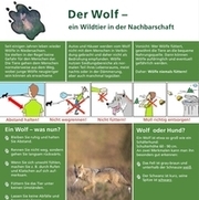 Infoblatt "Der Wolf – ein Wildtier in der Nachbarschaft"