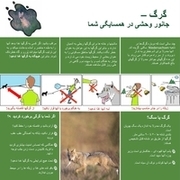 Infoblatt "Der Wolf – ein Wildtier in der Nachbarschaft" (persisch)