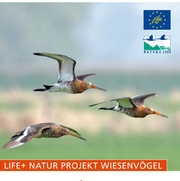 LIFE Wiesenvögel