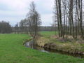 Vorschaubild NSG Bornbachtal - im Mittellauf grenzen landwirtschaftliche Nutzflächen an den Bach an (Foto: NLWKN / S. Körbel)