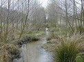 Vorschaubild Speckenbachtal