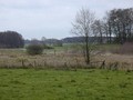 Vorschaubild Speckenbachtal