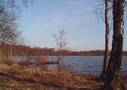 Vorschaubild Sager Meer - Geestsee