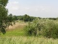 Vorschaubild Wätzumer Tonkuhle