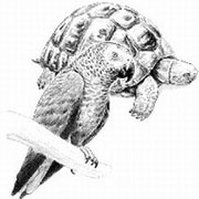 Schildkröte, Papagei und Co.
