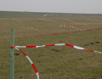 Vergrämungsmaßnahmen im Jarssumer Polder, März 2012