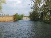 Oker bei Meinsersen