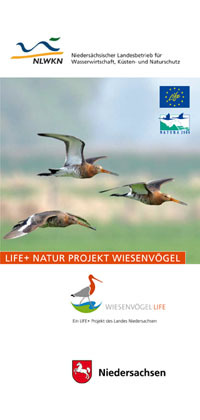 LIFE Wiesenvögel