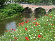 Leine bei Hannover