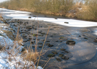 Reifen im Ems-Jade-Kanal bei Akelsberg
