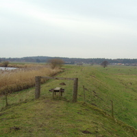 Deich am Ostebogen bei Hechthausen Klint