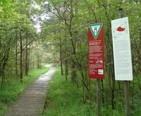 NSG Bissendorfer Moor, Weg zum Aussichtsturm (Foto S. Brosch)