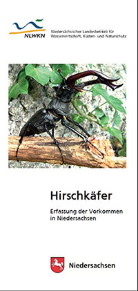 Hirschkäfer