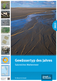 Poster des Umweltbundesamtes zum Gewässertyp des Jahres 2015