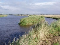 Strukturverbessernde Maßnahmen an der Harle