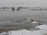 Treibeis auf der Elbe bei Glienitz