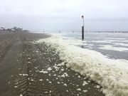 Schaumalgenblüte am Nordstrand Norderney, Mai 2018