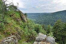 Nationalpark Harz