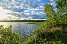 Naturschutzgebiet "Silbersee und Laaschmoor"