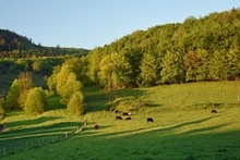 Naturpark "Solling-Vogler im Weserbergland"