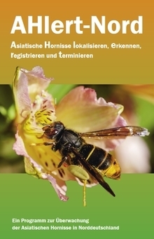 Flyer Asiatische Hornissen lokalisieren, erkennen, registrieren und terminieren