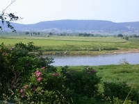 Weser bei Hess. Oldendorf