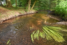 Naturschutzgebiet "Lachte"