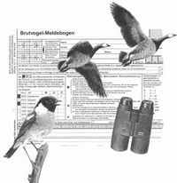 Vogelarten-Erfassungsprogramm