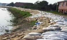 Elbehochwasser 2002: Aufkadung bei Bitter