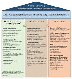 Organisationsstruktur des Wolfsmonitorings und -managements in Niedersachsen