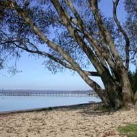 Am Strand im Lembruch