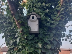 Spezielle Nistkästen bieten einigen Vogelarten Nistmöglichkeiten im Garten.
