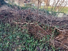 Totholzhaufen bieten Igeln ein Winterschlafnest und eine Kinderstube.