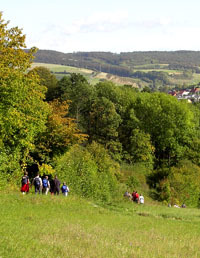 Sieben Berge / Sackwald