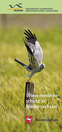 Wiesenweihenschutz in Niedersachsen