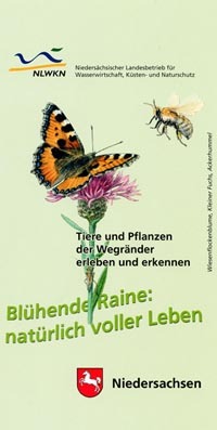 Tiere und Pflanzen der Wegränder erleben und erkennen