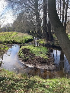 Köhlener Mühlenbach mit renaturierter Mäanderschleife, Landkreis Lüchow-Dannenberg