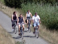 Naturkundliche Radtour um den Dümmer