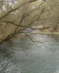 Okertal südlich Vienenburg