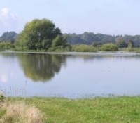 Die Leine bei Hochwasser 2007