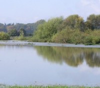 Gewässer bei Bordenau