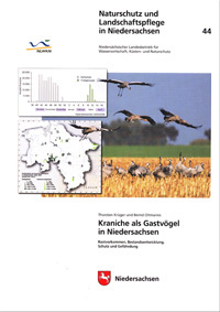 Kraniche als Gastvögel in Niedersachsen