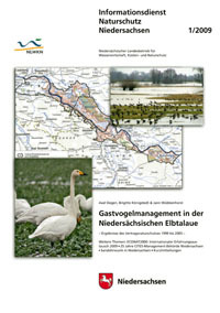 Gastvogelmanagement in der Niedersächsischen Elbtalaue