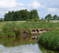 Das Bagbander Tief im Landkreis Aurich