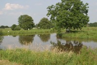 Reizvolle Törns im Fehngebiet